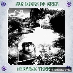 jan dukes de grey - strange terrain jan dukes de grey - strange terrain