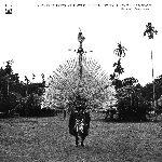 ragnar johnson - crying bamboos : ceremonial flute music from new guinea madang ragnar johnson - crying bamboos : ceremonial flute music from new guinea madang
