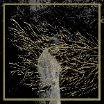 forest swords - engravings forest swords - engravings