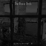 the noise birds - the dark sea hides a bright light the noise birds - the dark sea hides a bright light