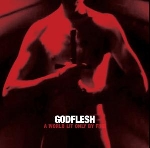 godflesh - a world only lit by fire godflesh - a world only lit by fire