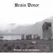 brain donor - wasted fuzz excessive brain donor - wasted fuzz excessive