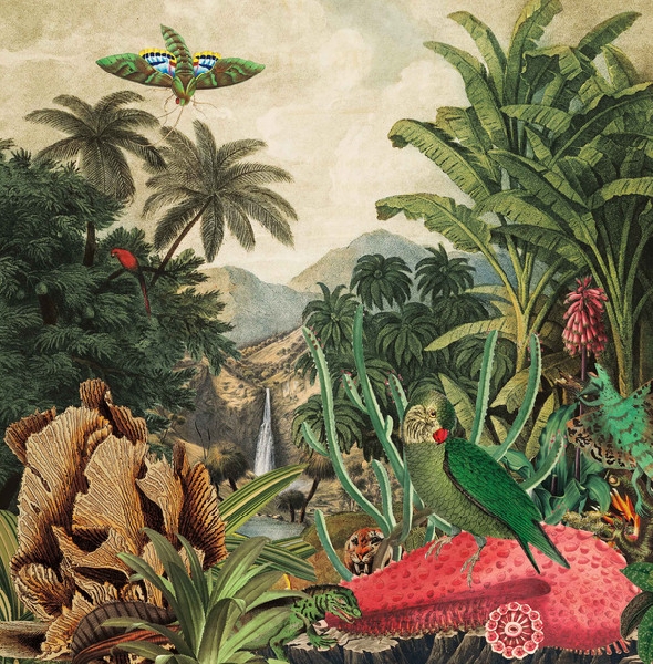 Lagoss - Imaginary Island Music vol.1: Canary Islands Lagoss - Imaginary Island Music vol.1: Canary Islands