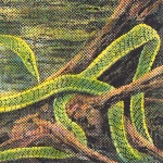 rainforest spiritual enslavement - green graves (cyan) rainforest spiritual enslavement - green graves (cyan)