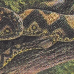 rainforest spiritual enslavement - ambient black magic rainforest spiritual enslavement - ambient black magic