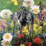 current 93 - swastikas for noddy / crooked crosses for the nodding god current 93 - swastikas for noddy / crooked crosses for the nodding god