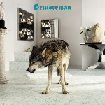grinderman - grinderman 2 grinderman - grinderman 2