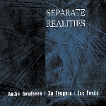 andré goudbeek - xu fengxia - joe fonda - separate realities andré goudbeek - xu fengxia - joe fonda - separate realities