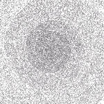 kiss the anus of a black cat - the nebulous dreams kiss the anus of a black cat - the nebulous dreams