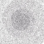 kiss the anus of a black cat - the nebulous dreams kiss the anus of a black cat - the nebulous dreams