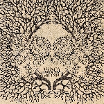 les yeux de la tête - mosca violenta les yeux de la tête - mosca violenta