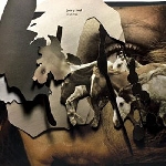 jenny hval - viscera jenny hval - viscera