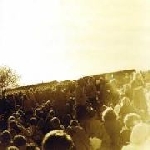 träd gräs och stenar - gärdet 12.6.1970 träd gräs och stenar - gärdet 12.6.1970