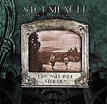 stormfagel - den nalkande stormen stormfagel - den nalkande stormen