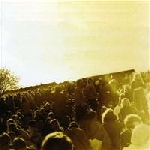 trad gras och stenar - gardet 12.6.1970 trad gras och stenar - gardet 12.6.1970