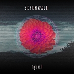 schonwald - night idyll schonwald - night idyll