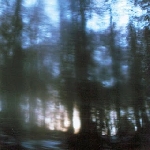 nimh / nefelheim - whispers from the ashes nimh / nefelheim - whispers from the ashes