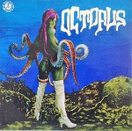 octopus - restless night octopus - restless night