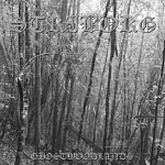 striborg - ghostwoodlands striborg - ghostwoodlands