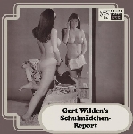 gert wilden - schulmadchen report (record store day 2015 release) gert wilden - schulmadchen report (record store day 2015 release)